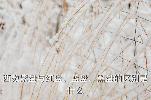 紫光西部數(shù)據(jù) 待遇,南京紫光西部數(shù)據(jù)有限公司