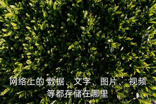 網(wǎng)絡(luò)上的 數(shù)據(jù)、文字、圖片、 視頻等都存儲在哪里