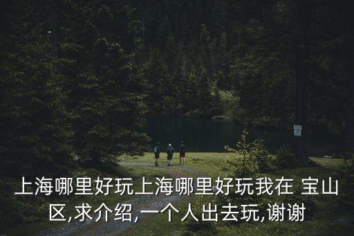 機器人主題公園 寶山,上海寶山discovery主題公園