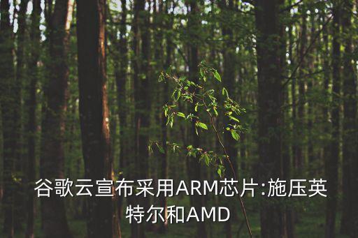  谷歌云宣布采用ARM芯片:施壓英特爾和AMD