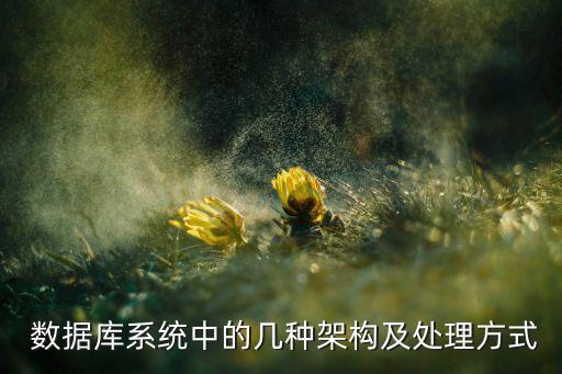  數(shù)據(jù)庫(kù)系統(tǒng)中的幾種架構(gòu)及處理方式