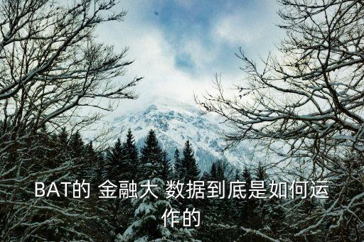 BAT的 金融大 數(shù)據(jù)到底是如何運作的