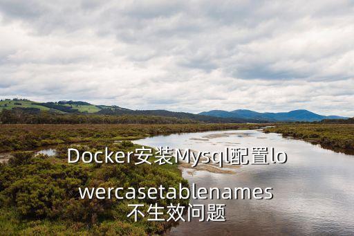 Docker安裝Mysql配置lowercasetablenames不生效問題