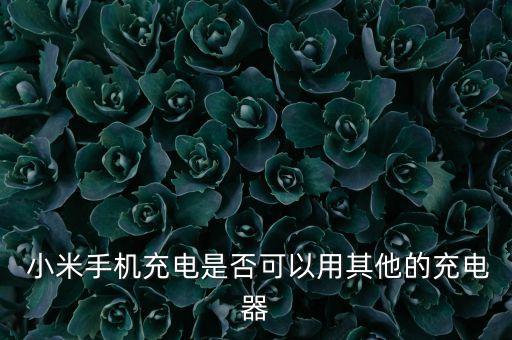  小米手機充電是否可以用其他的充電器