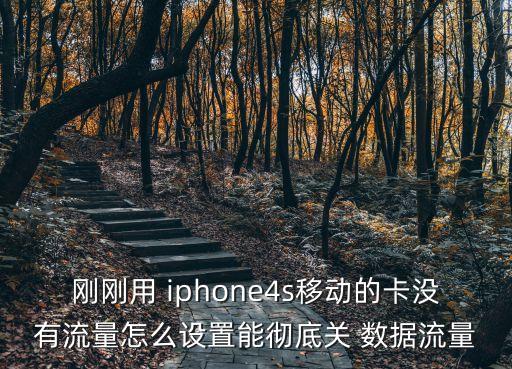 iphone4s關(guān)閉數(shù)據(jù)