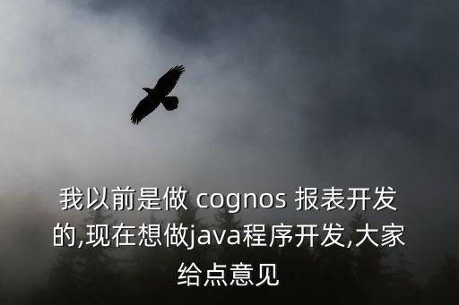 我以前是做 cognos 報(bào)表開發(fā)的,現(xiàn)在想做java程序開發(fā),大家給點(diǎn)意見