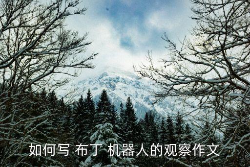 布丁機(jī)器人 看家模式