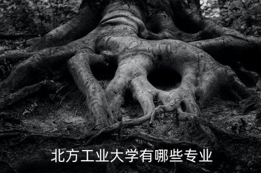  北方工業(yè)大學(xué)有哪些專業(yè)