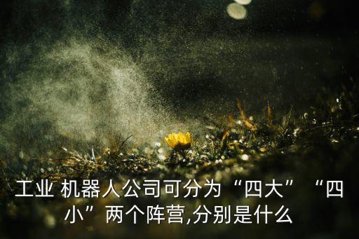 工業(yè) 機器人公司可分為“四大”“四小”兩個陣營,分別是什么