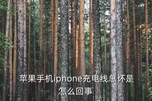  蘋果手機(jī)iphone充電線總壞是怎么回事