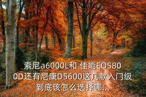 佳能800d不配數(shù)據(jù)線