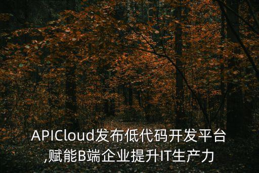 APICloud發(fā)布低代碼開發(fā)平臺,賦能B端企業(yè)提升IT生產(chǎn)力