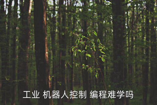 工業(yè) 機(jī)器人控制 編程難學(xué)嗎