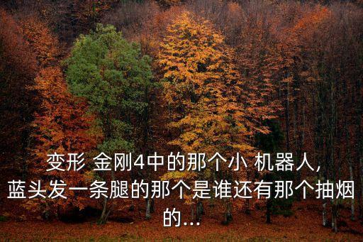變形金剛4所有機器人圖