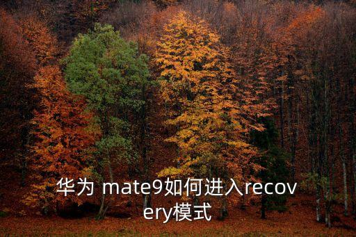 華為 mate9如何進(jìn)入recovery模式