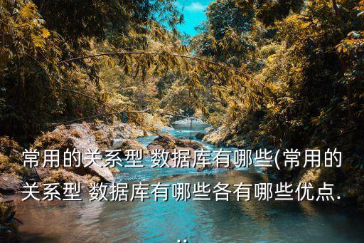 常用的關(guān)系型 數(shù)據(jù)庫(kù)有哪些(常用的關(guān)系型 數(shù)據(jù)庫(kù)有哪些各有哪些優(yōu)點(diǎn)...