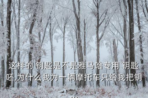 這樣的 鑰匙是不是雅馬哈專用 鑰匙呸,為什么我為一輛摩托車只給我把鑰...