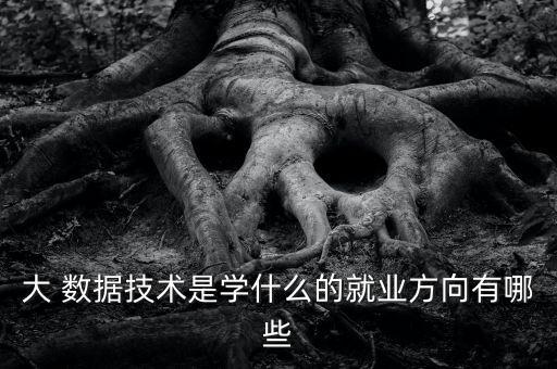 大 數(shù)據(jù)技術(shù)是學(xué)什么的就業(yè)方向有哪些