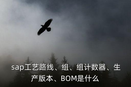  sap工藝路線、組、組計數(shù)器、生產(chǎn)版本、BOM是什么
