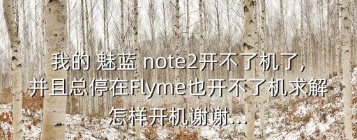 我的 魅藍 note2開不了機了,并且總停在Flyme也開不了機求解怎樣開機謝謝...