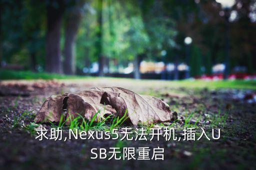 nexus 機器人交流