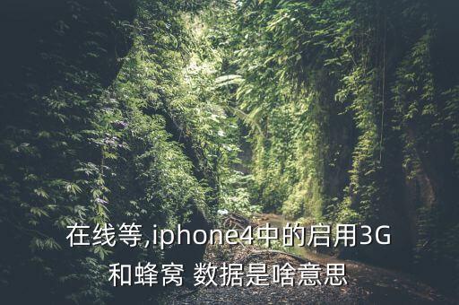窩蜂數(shù)據(jù)是什么回事,手機沒有峰窩數(shù)據(jù)是什么原因造成