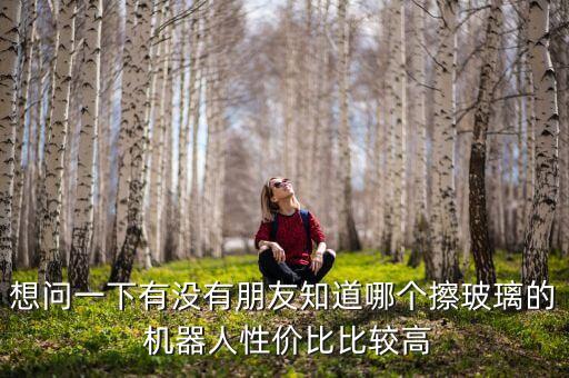 國(guó)內(nèi) 沒(méi)有 擦地機(jī)器人