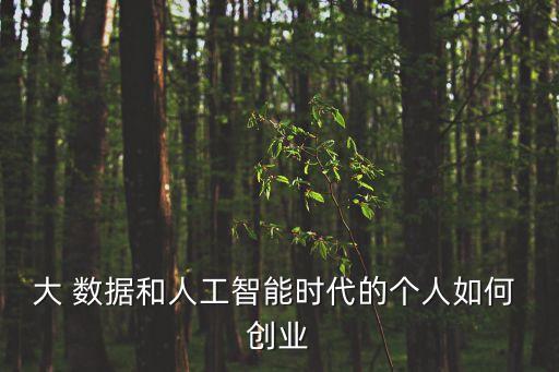 大數(shù)據(jù)下的創(chuàng)業(yè),數(shù)據(jù)標(biāo)注創(chuàng)業(yè)怎么樣