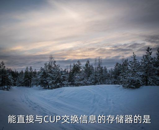 能直接與CUP交換信息的存儲器的是