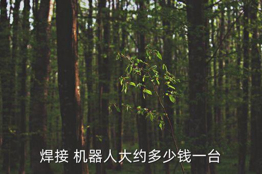 焊接 機(jī)器人大約多少錢一臺(tái)