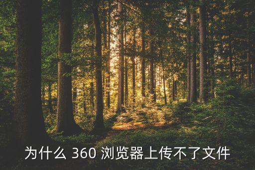 為什么 360 瀏覽器上傳不了文件