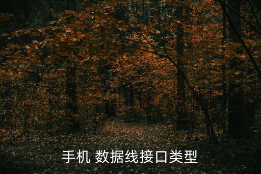 安卓通用數(shù)據(jù)線叫啥,kindle數(shù)據(jù)線和安卓通用嗎