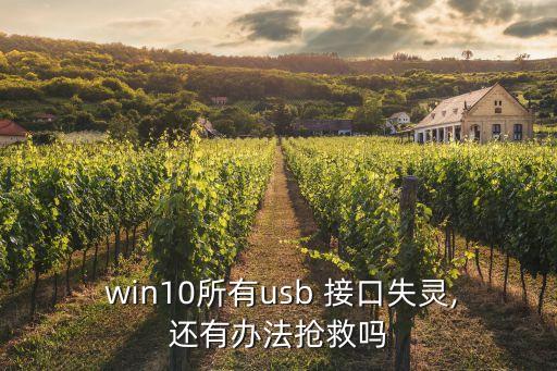  win10所有usb 接口失靈,還有辦法搶救嗎