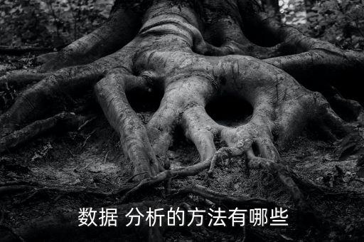 數(shù)據(jù)信息分析,分析數(shù)據(jù)前對(duì)信息進(jìn)行處理