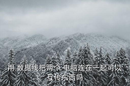 用 數(shù)據(jù)線把兩個(gè) 電腦連在一起可以互傳東西嗎