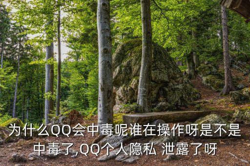 為什么QQ會(huì)中毒呢誰(shuí)在操作呀是不是中毒了,QQ個(gè)人隱私 泄露了呀