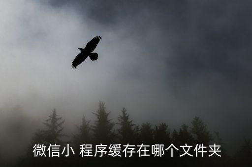 微信小程序存放數據庫