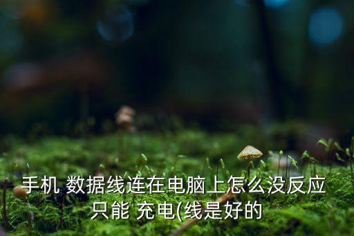 數(shù)據(jù)線只能充電了,iphone數(shù)據(jù)線只能充電