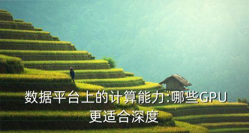 蟲數(shù)據(jù)gpu,成都喜蟲數(shù)據(jù)