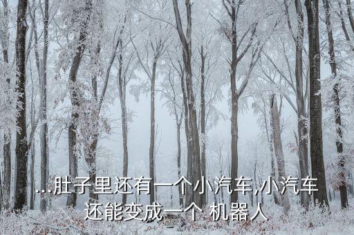 ...肚子里還有一個(gè)小汽車,小汽車還能變成一個(gè) 機(jī)器人
