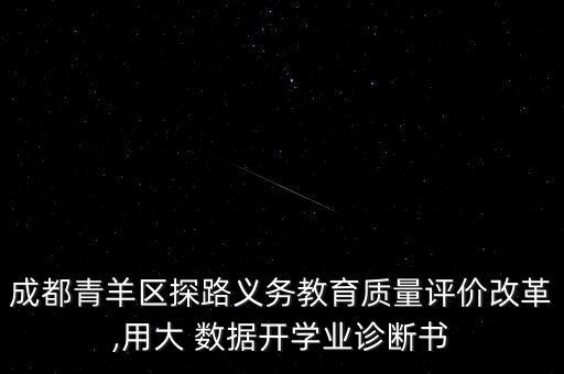 陳杰 大數據,陳杰大數據文獻