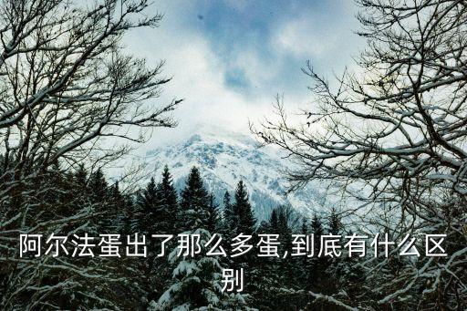 雞蛋型的機器人,雞蛋分揀包裝機器人
