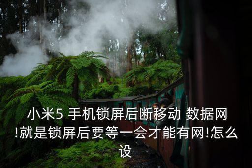  小米5 手機鎖屏后斷移動 數(shù)據網!就是鎖屏后要等一會才能有網!怎么設