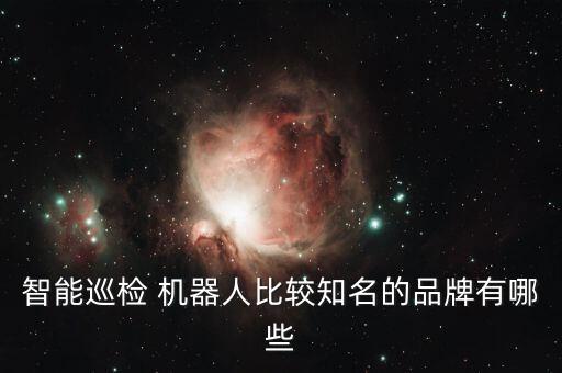 智能巡檢 機(jī)器人比較知名的品牌有哪些