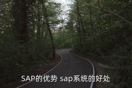 SAP的優(yōu)勢 sap系統(tǒng)的好處