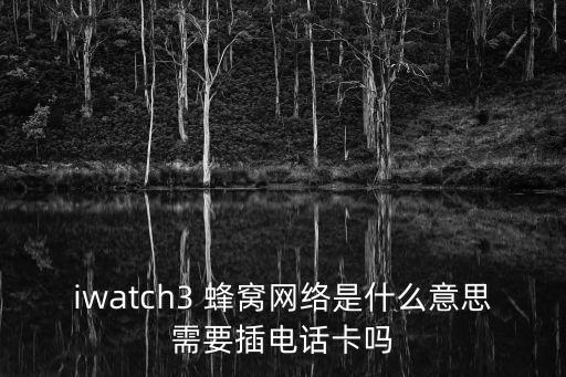 iwatch3 蜂窩網(wǎng)絡(luò)是什么意思需要插電話卡嗎
