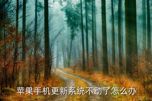 蘋果自動(dòng)升級卡住了,手機(jī)系統(tǒng)卡住怎么辦?可以嘗試以下方法