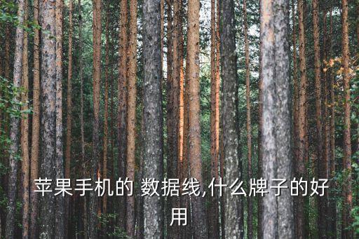  蘋(píng)果手機(jī)的 數(shù)據(jù)線,什么牌子的好用