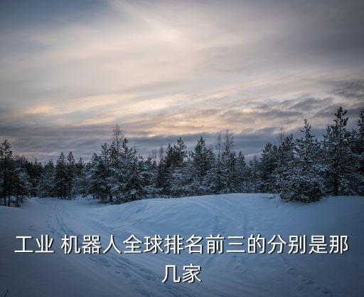 工業(yè) 機器人全球排名前三的分別是那幾家