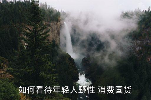 如何看待年輕人野性 消費(fèi)國貨